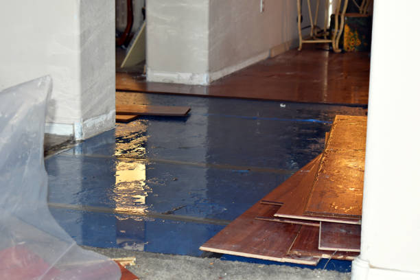 Professional Sewage Cleanup technician working in Orland, ME